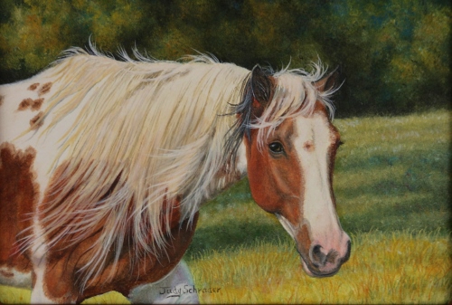 Oil Painting of Chincoteague wild ponies painted by Judy Schrader